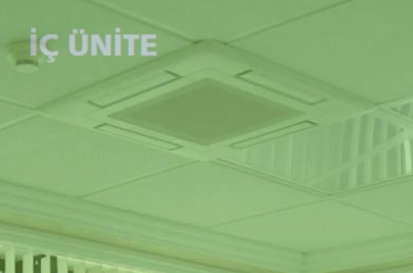 icunite